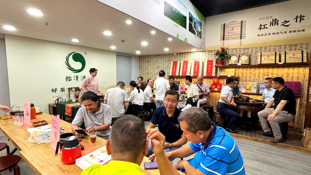 安化黑茶·岁月鎏金丨怡清源茶业亮相第32届上海国际茶业展安化黑茶推介会